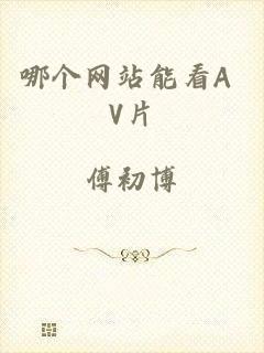 哪个网站能看A V片